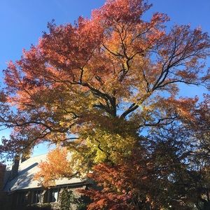 Meet your Posher, Cori